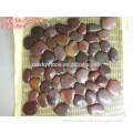 Nanjin Good Quality Cheap Polished Red Color Pebble Stone Tile